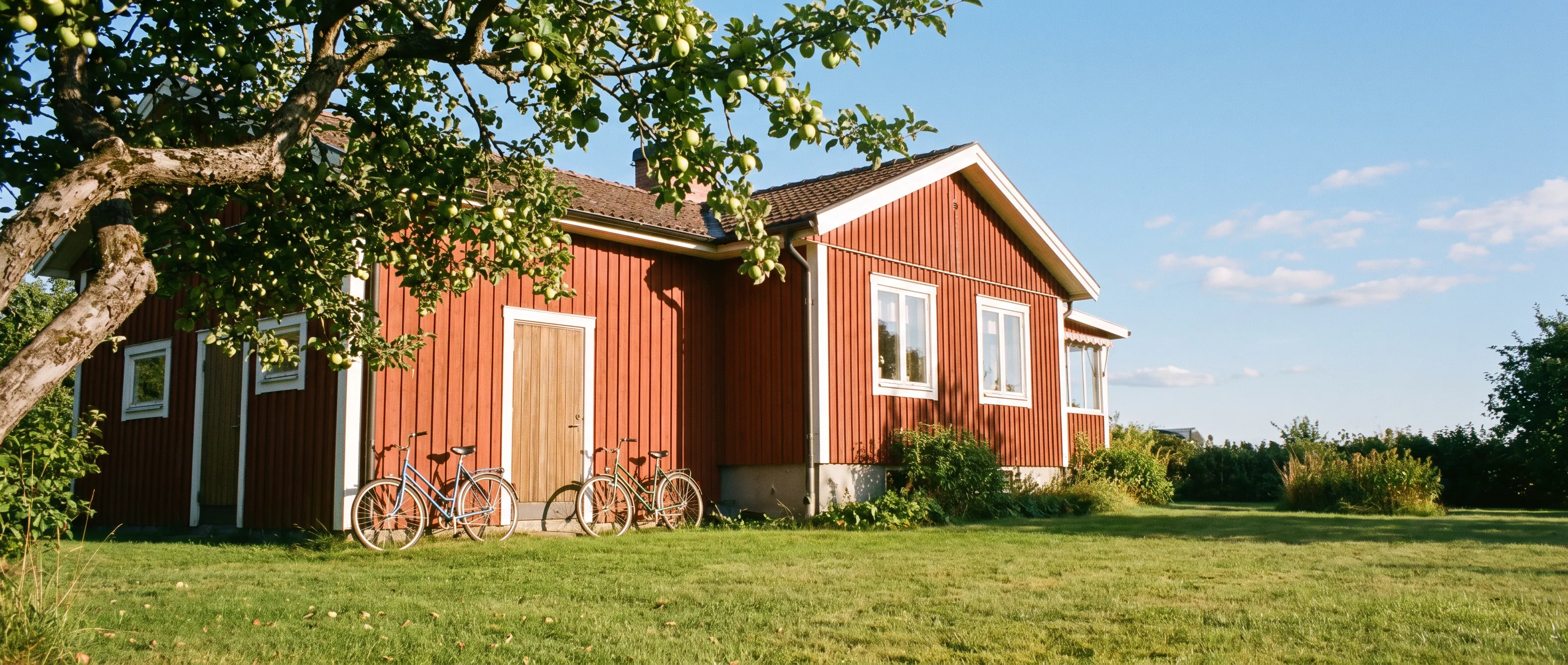 Buy a house with someone on your side